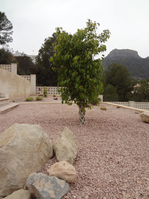 Villa Calma