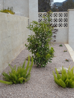 Villa Calma
